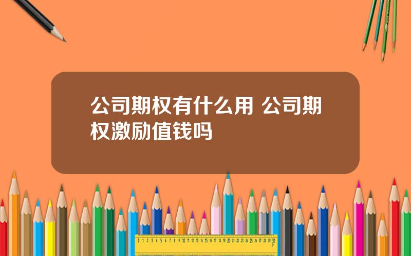 公司期权有什么用 公司期权激励值钱吗